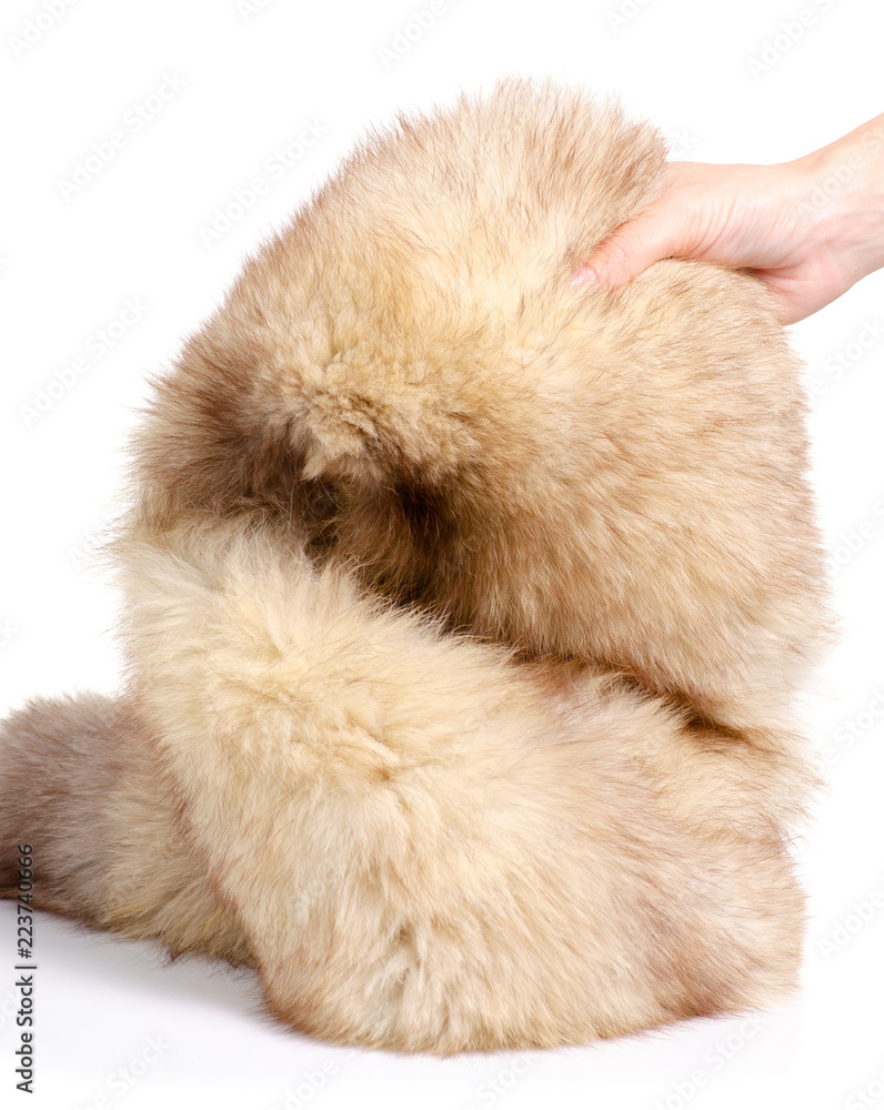 Skin fur with arctic fox in hand on white background isolation Skin fur with arctic fox in hand on white background isolation