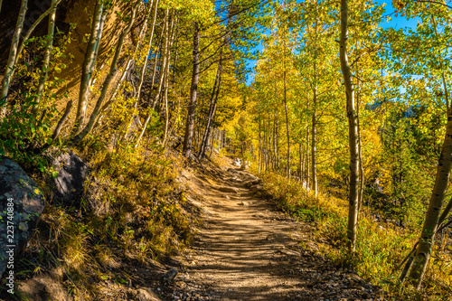 Colorful Fall Hike in the Rocky Mountains in Colorado