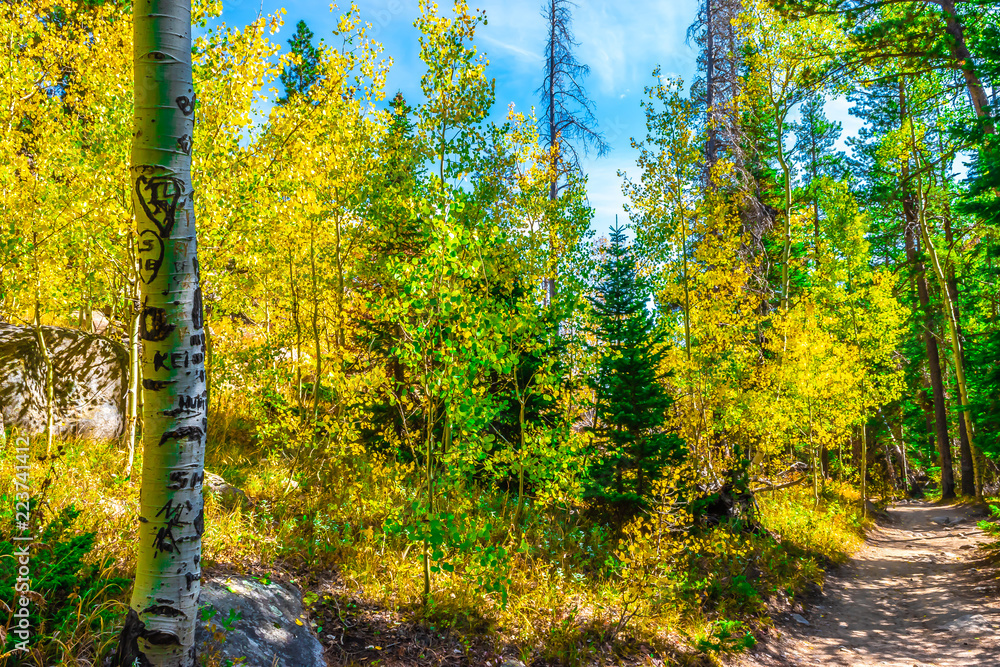 Colorful Fall Hike in the Rocky Mountains in Colorado Colorful Fall Hike in the Rocky Mountains in Colorado