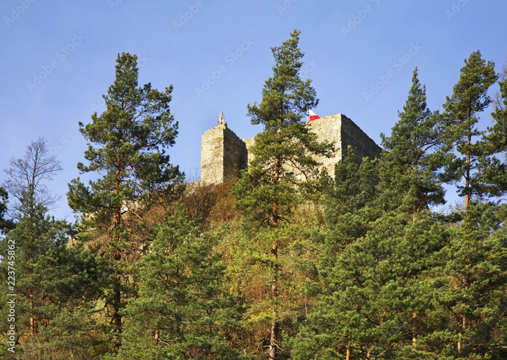 Ruins of castle in Muszyna. Voivodeship Lesser Poland. Poland Ruins of castle in Muszyna. Voivodeship Lesser Poland. Poland