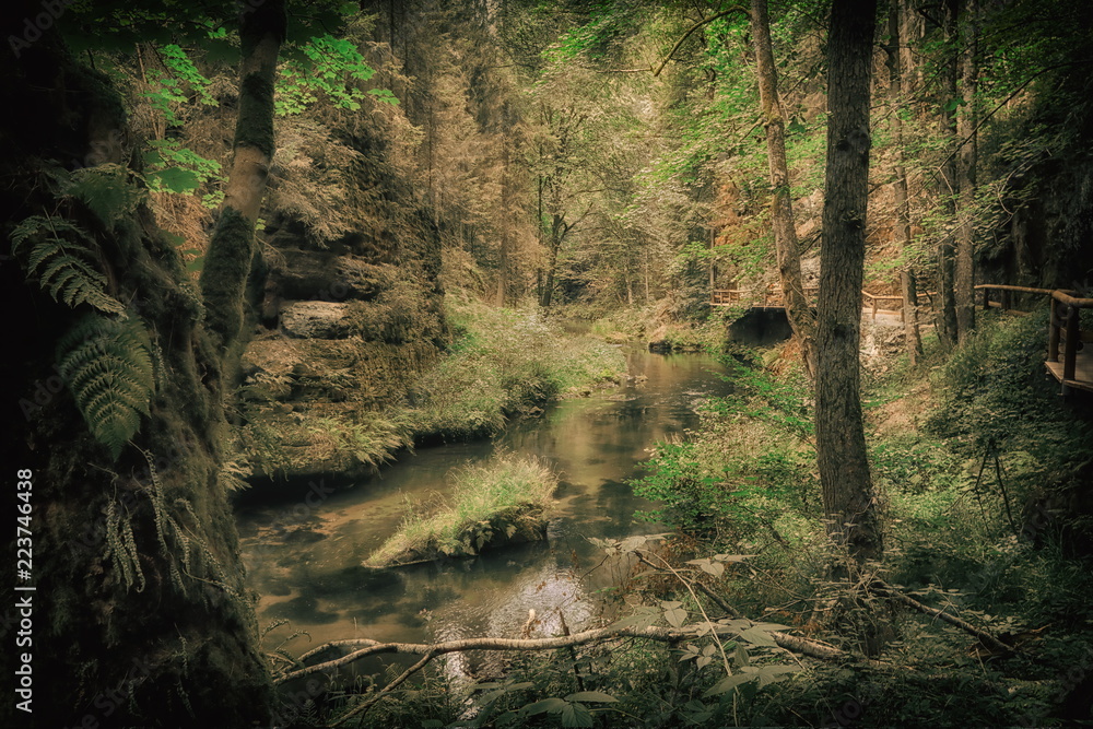 Obraz premium on the mystic water