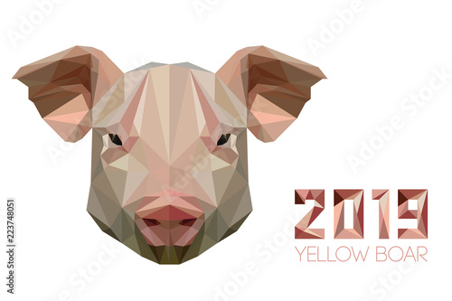 Pig is symbol of New 2019 year, according to Chinese calendar Year of Yellow Earthen Boar. Snout of a domestic pig in polygons style. Farm Pets