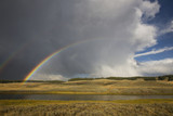 Unique landscapes throughout Yellowstone National Park