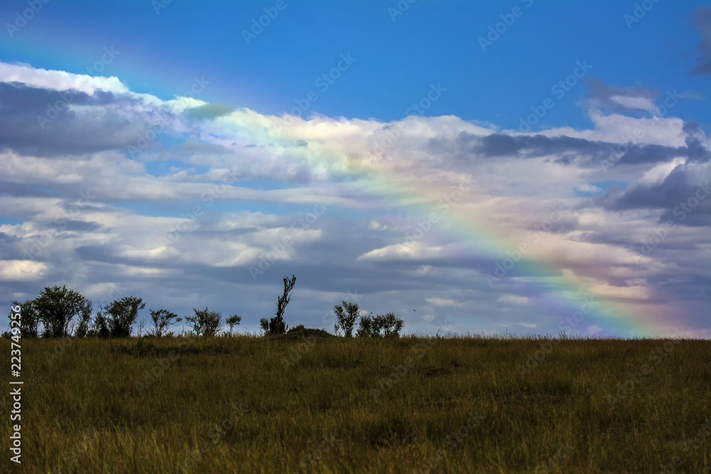Masai Mara Landscape