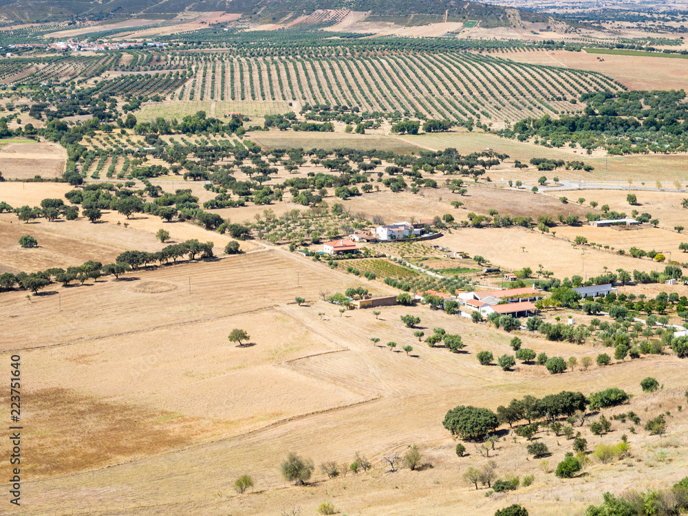 Obraz premium OLYMPUS DIGITAL CAMERA