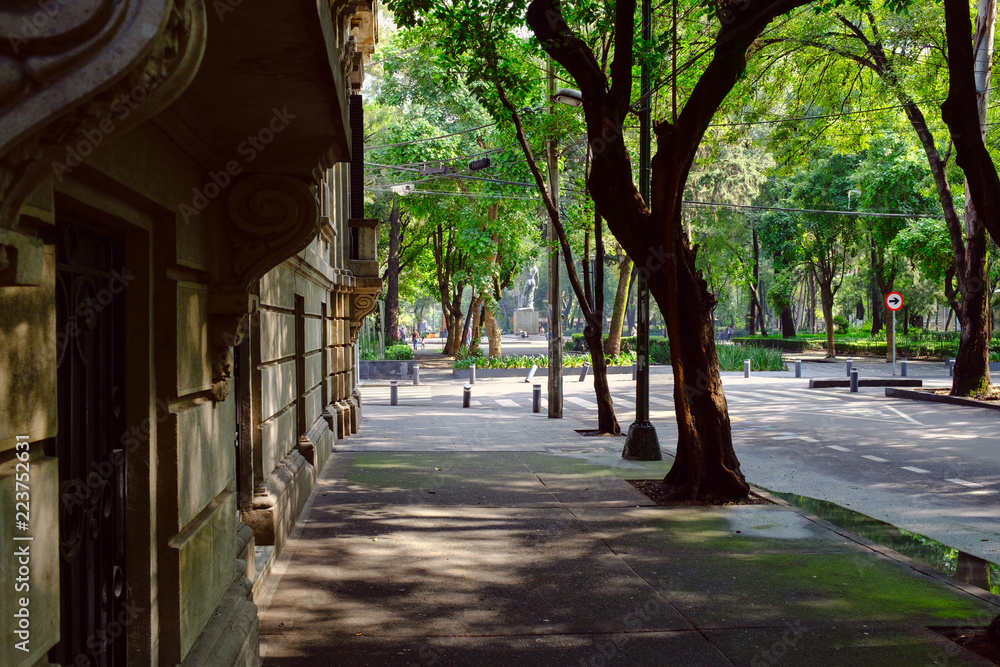 Street at Roma Norte, a fashionable neighborhood in Mexico City