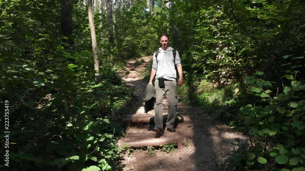 hiker walking true the forest hiker walking true the forest