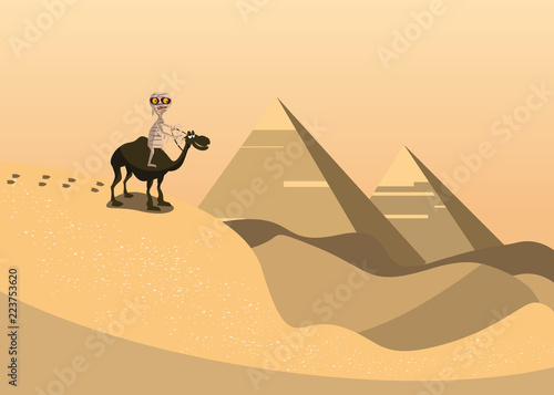 mummy ride a camel in pyramids scene vector illustration 