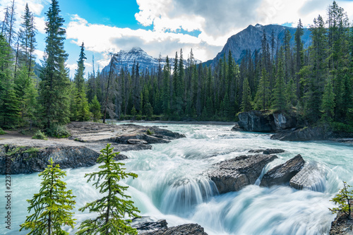 Glacier River in Yoho National Park, Canada