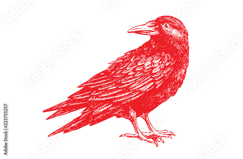 Red Crow