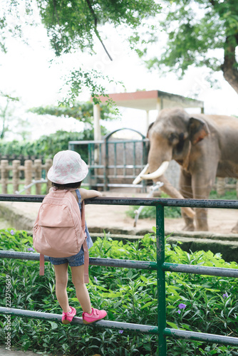 Photography Children feed Asian elephants in tropical safari park during summer vacation