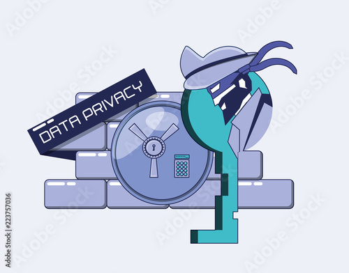 cyber pirate with wall and key data privacy