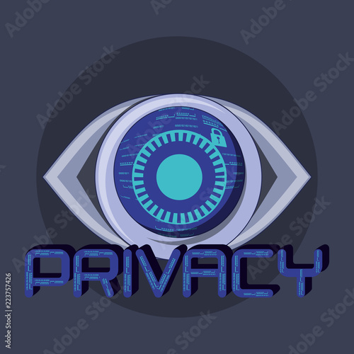 eye data privacy icon