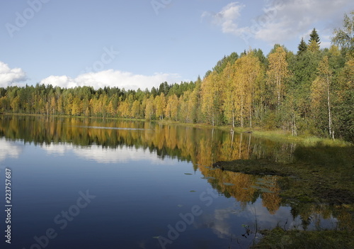  озеро в осеннем лесу солнечным днём