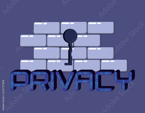 wall data privacy icon