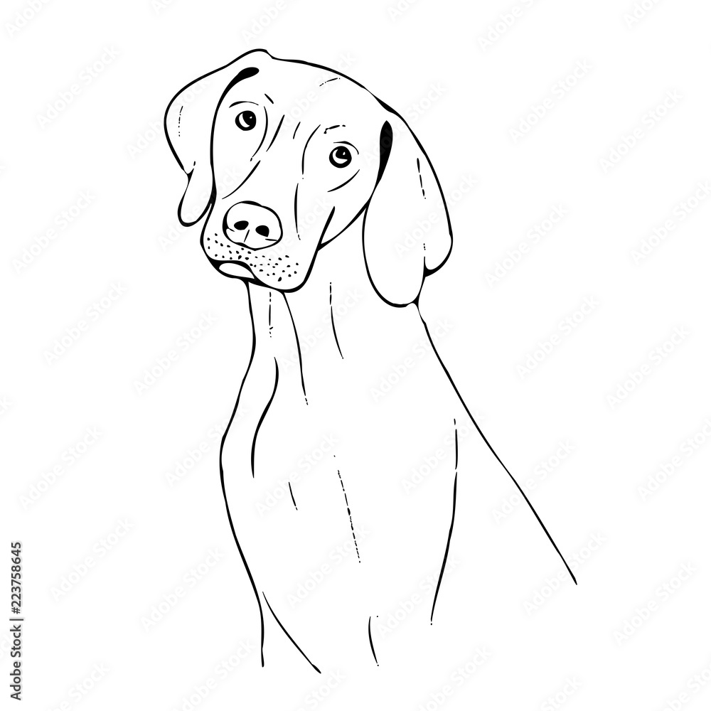  Foto zu Hund Illustration Stock-Illustration 