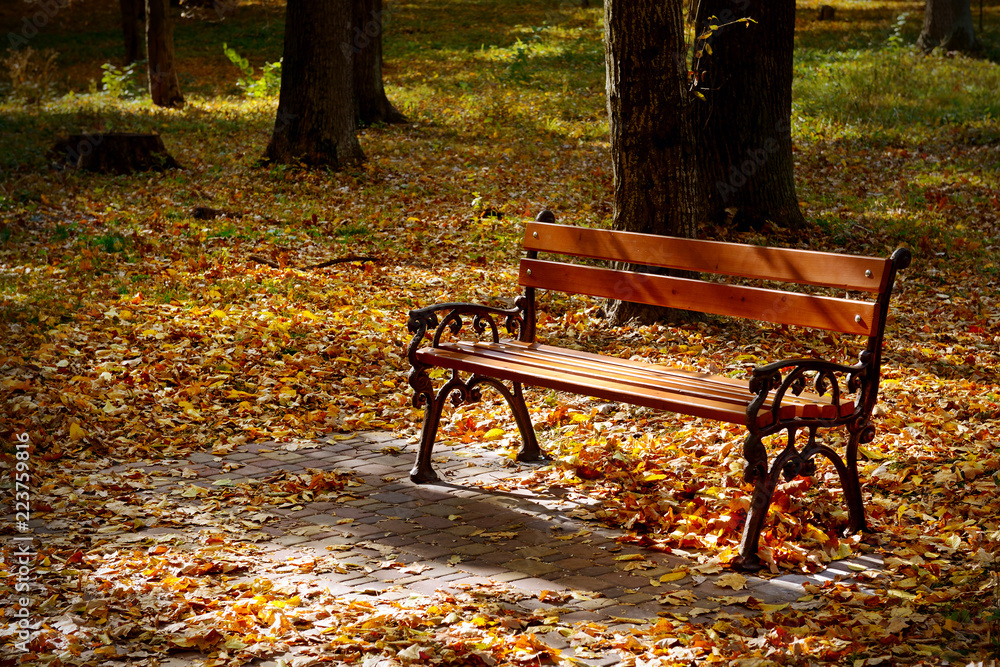 Beautiful garden bench in autumn park illuminated by sun. Beautiful garden bench in autumn park illuminated by sun.