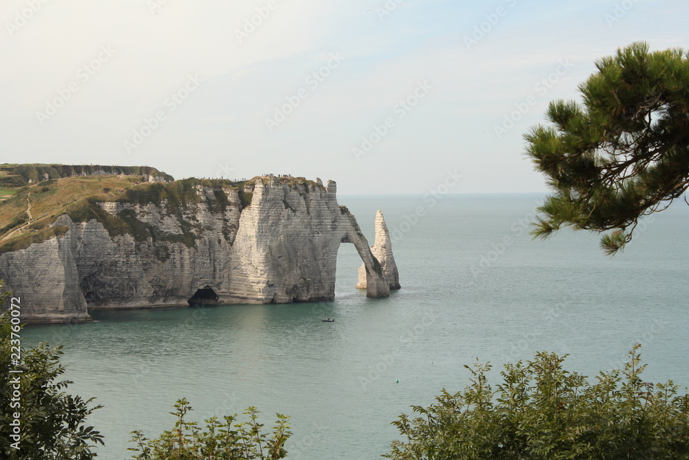 the arc in the white cliffs of the alabaster coast in the sea with a palm tree in front in summer the arc in the white cliffs of the alabaster coast in the sea with a palm tree in front in summer