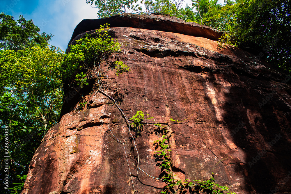 Looking up at a rock pillar at Phu Sing National Park, Bueng Kan, Thailand