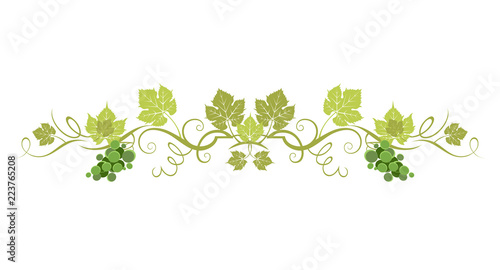 Green organic border