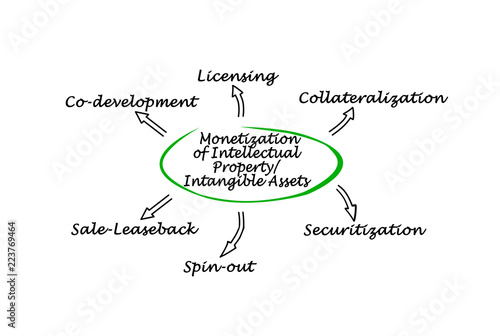 Monetization of Intellectual Property/Intangible Assets