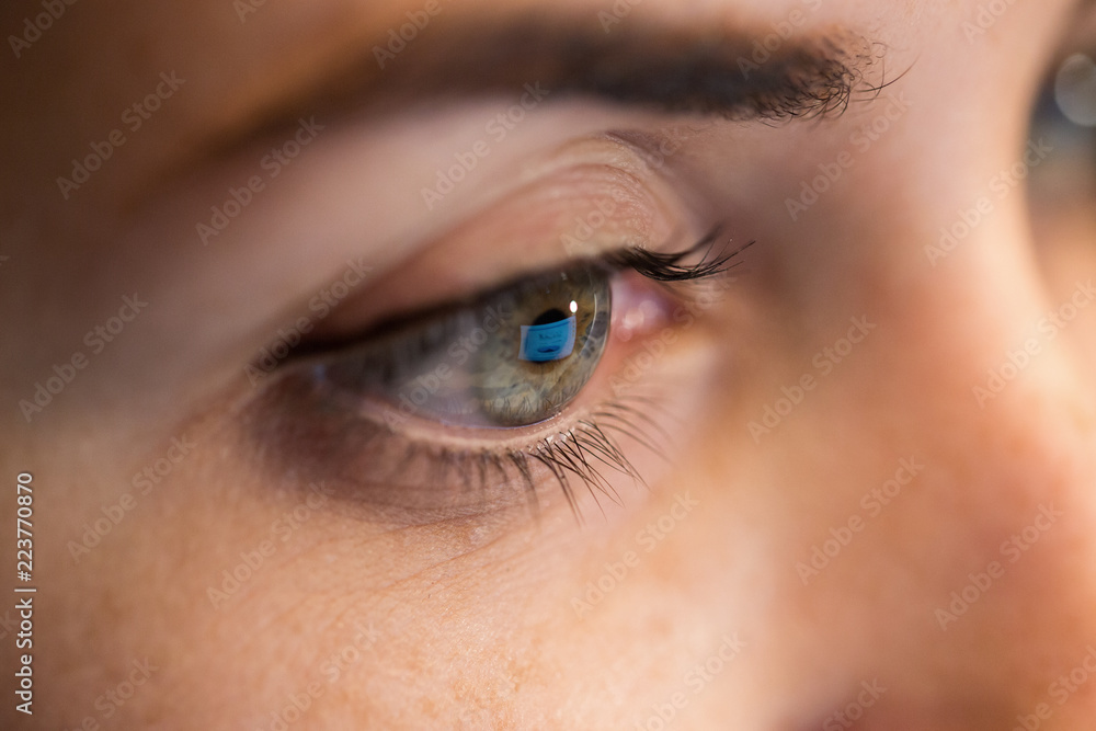 Naklejka premium vision, business and education concept - close up of woman eye looking at computer screen