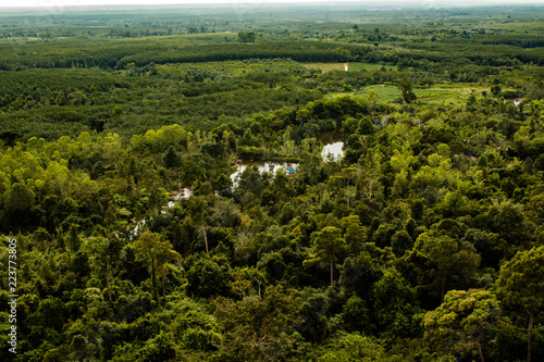 Obraz na płótnie Looking out onto the forest canopy below the mountain range at Phu Sing National Park on a cloudy, overcast day in the rain season. w salonie