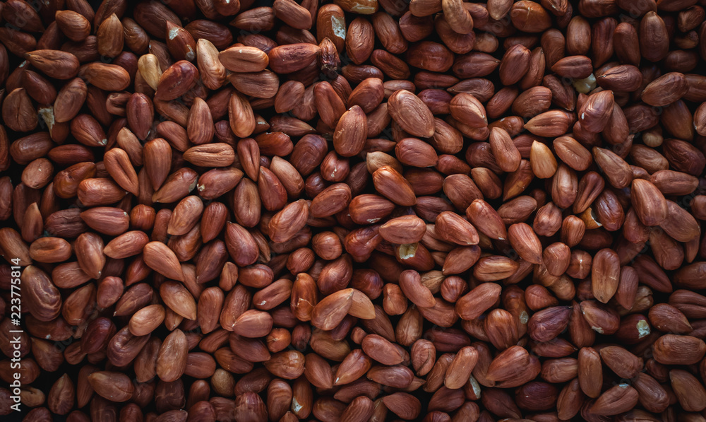 Obraz premium Close-up of raw hazelnuts, top view