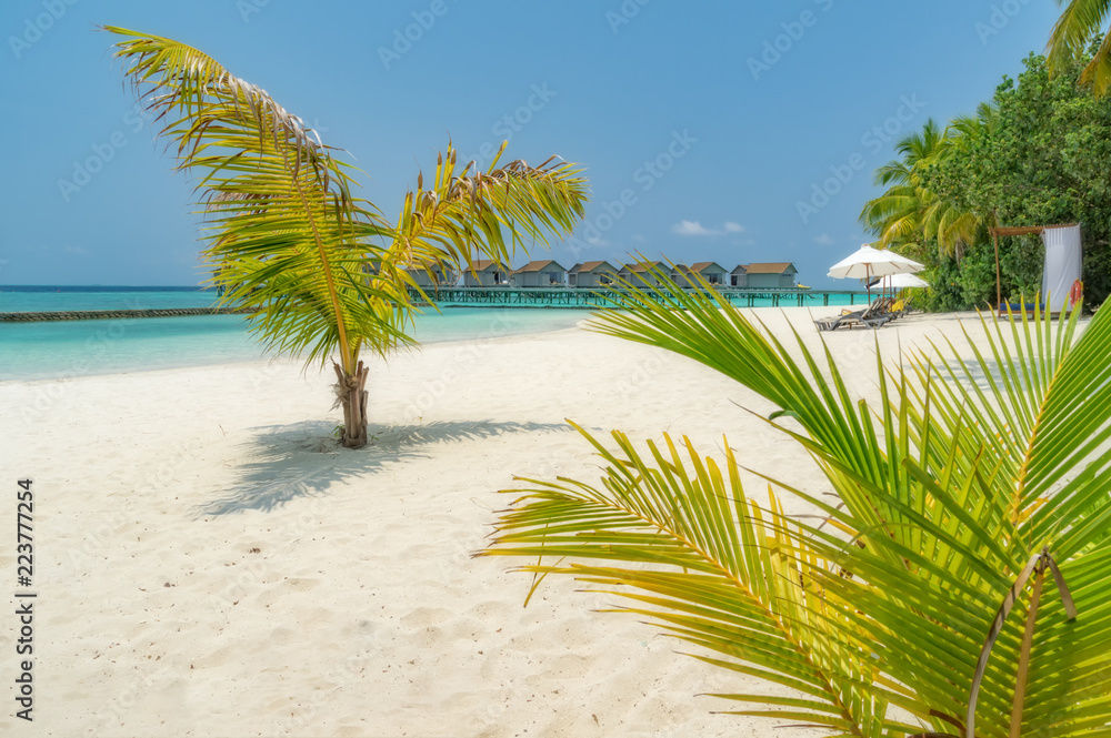 Fototapeta premium Somewhere in the Maldives.