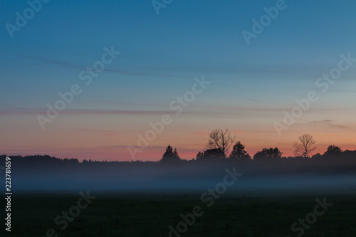 Evening fog over meadows.