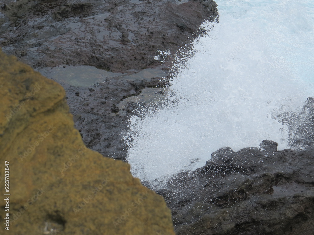 blow hole blow hole