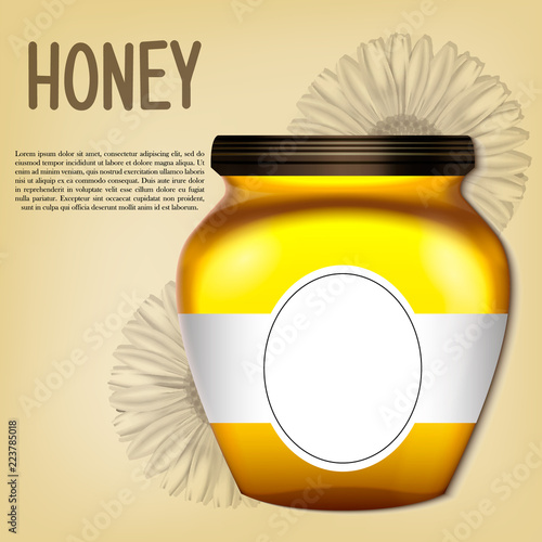 Realistic 3d bank of honey. Vector retro illustration