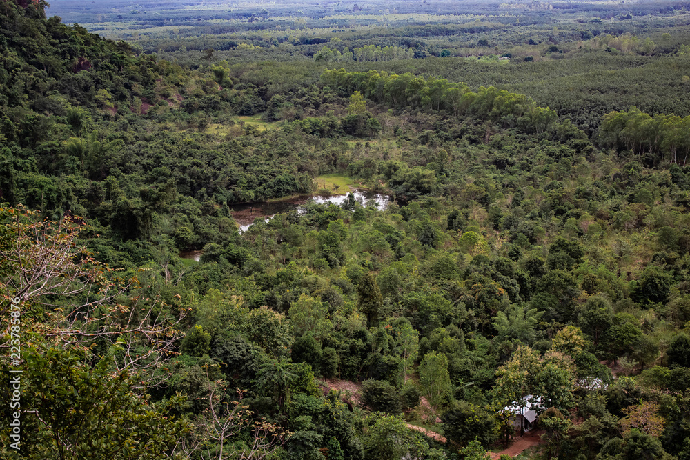Looking at the treetops of a forest canopy from above at Phu Sing in Bueng Kan
