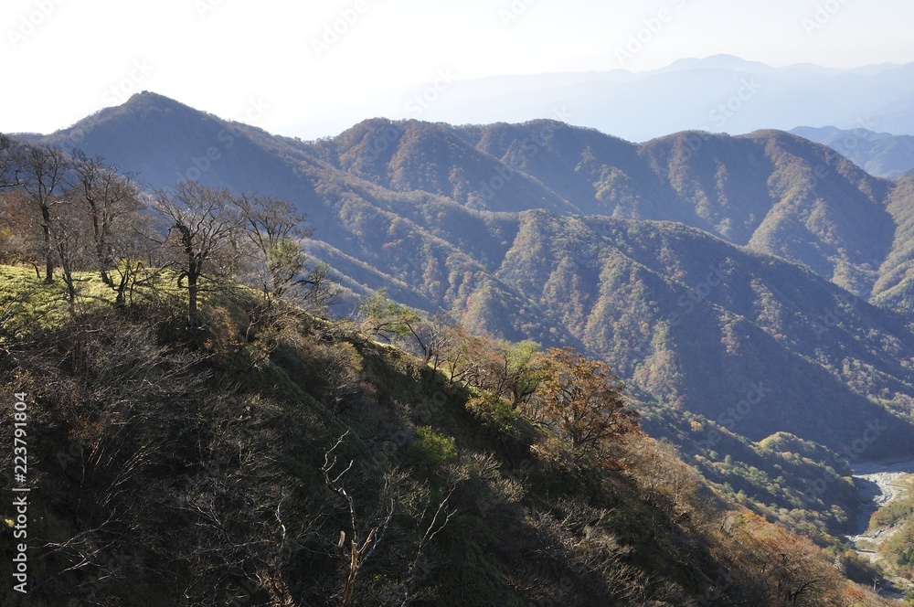 秋の塔ノ岳と鍋割山稜 秋の塔ノ岳と鍋割山稜