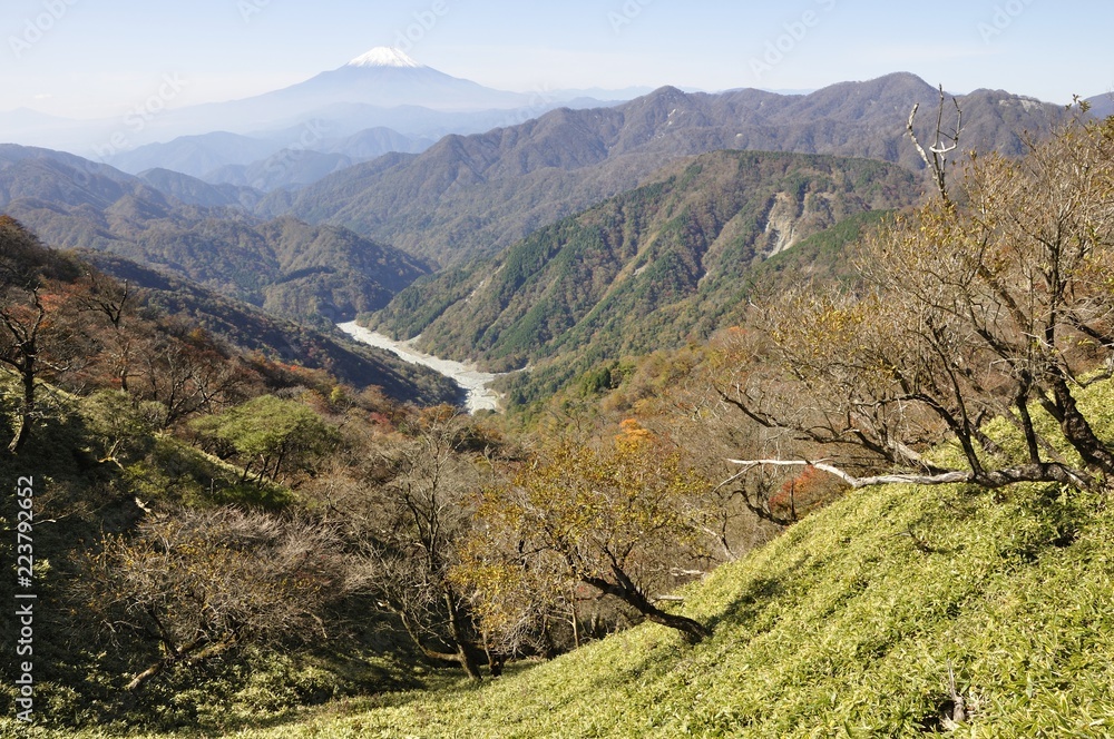 竜ヶ馬場より富士山