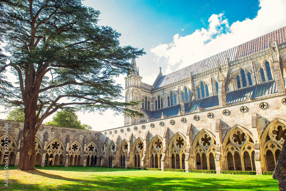 Exterior View of Salisbury Cathedral yard in Salisbury Wiltshire. Uk in sunny day. Medevial architecture. Selective focus. copy space.