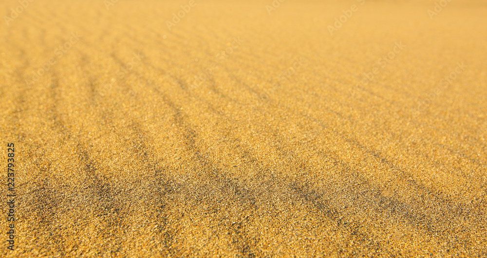 Textured wavy yellow sand all over the frame Textured wavy yellow sand all over the frame