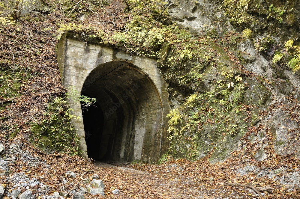 Fototapeta premium 玄倉林道 第八号隧道