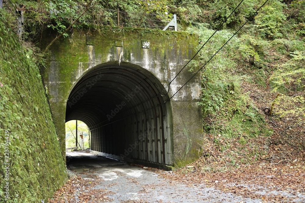 玄倉林道 境隧道