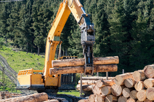 A swing loader picks up pine logs to stack onto a logging truck at a forestry site