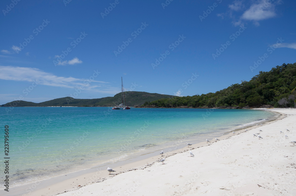 Whitsundays, grande barrière de corail, Queensland Australie Whitsundays, grande barrière de corail, Queensland Australie