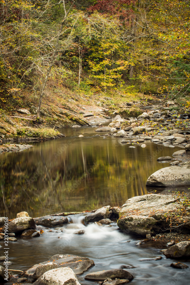 river  with reflections in the autumn forest
