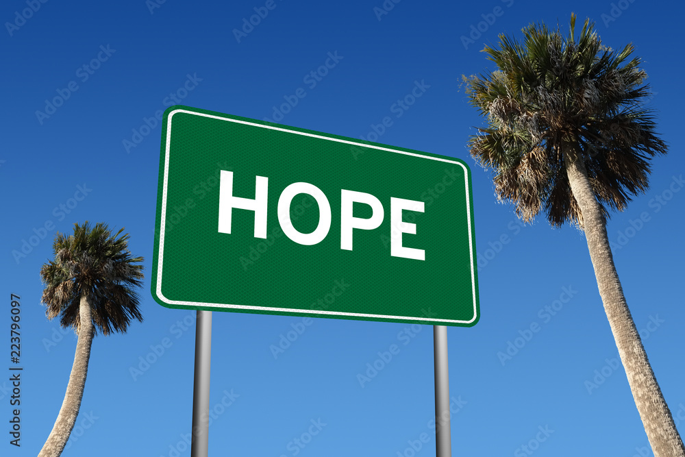 Fototapeta premium Hope sign on blue sky background with palm trees