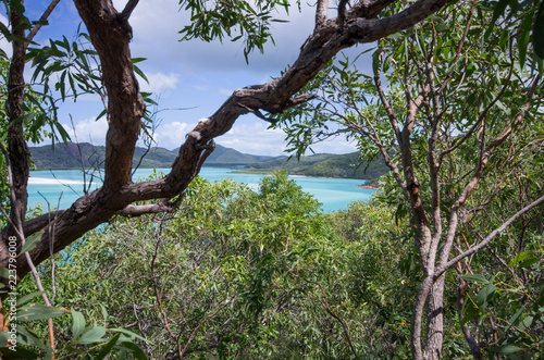 Whitsundays, grande barrière de corail, Queensland Australie