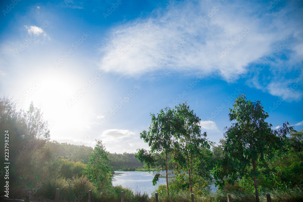 Fototapeta premium Pond nearby Brisbane city in Queensland, Australia. Australia is a continent located in the south part of the earth.