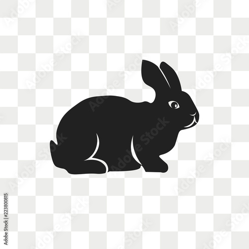 Rabbit vector icon isolated on transparent background, Rabbit logo design