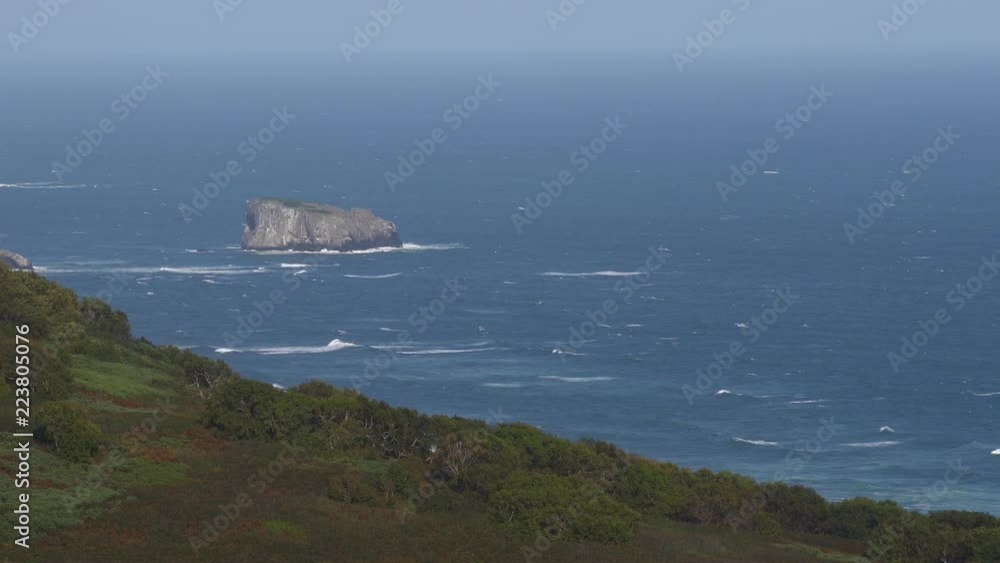 Stunning Pacific Coast seascape: waves in blue Pacific Ocean and shore overgrown with forest on autumn sunny day. Kamchatka Peninsula, Avacha Gulf, neighborhood of City Petropavlovsk-Kamchatsky. Stunning Pacific Coast seascape: waves in blue Pacific Ocean and shore overgrown with forest on autumn sunny day. Kamchatka Peninsula, Avacha Gulf, neighborhood of City Petropavlovsk-Kamchatsky.