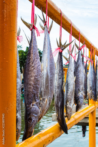 Salted fish that is sunlight and sky..