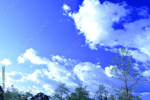 青空に浮かぶ雲 © ジョニー