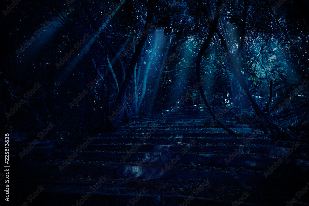 Stair in night forest